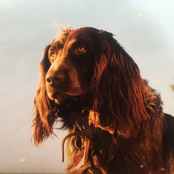 The Size Of The Night |