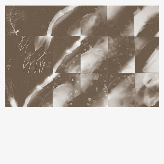 PETER KNIGHT - For A Moment The Sky Knew My Name [CD] |