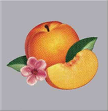 Phoenix - BANKRUPT! |