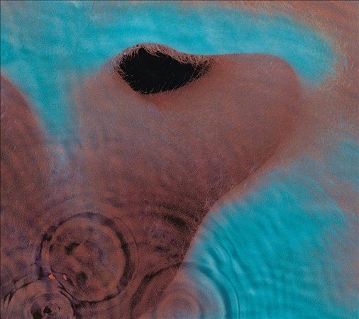Meddle (Remastered) |