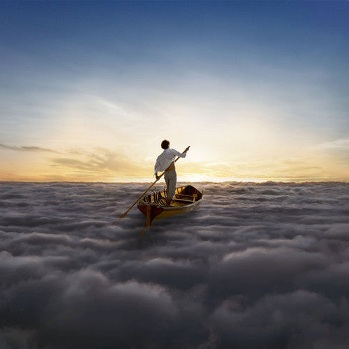 The Endless River (2LP Import) | Mint (M) Mint (M) - ROCK