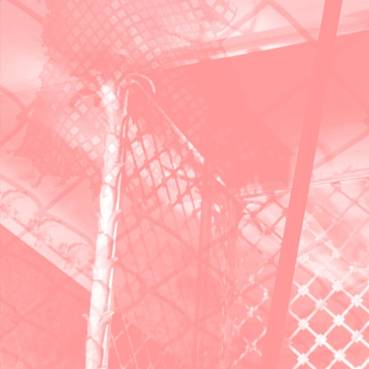 All Intensive Purposes |