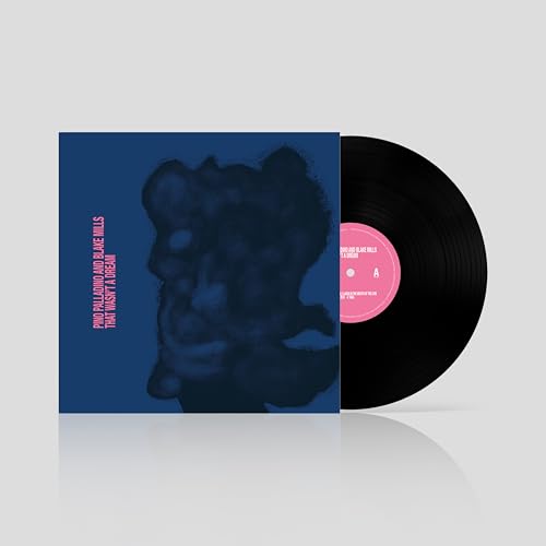 That Wasn'T A Dream [Lp] |