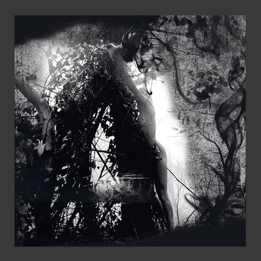 Tears Of A Rough Machine |