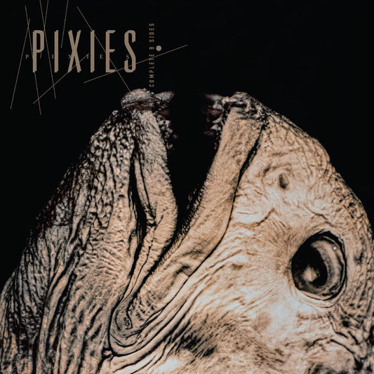 Pixies - Complete B Sides: 1988-97 |