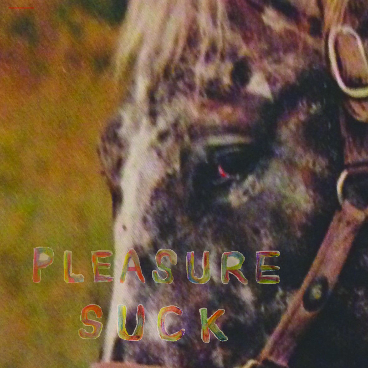 SPIRIT OF THE BEEHIVE - Pleasure Suck (CD) |