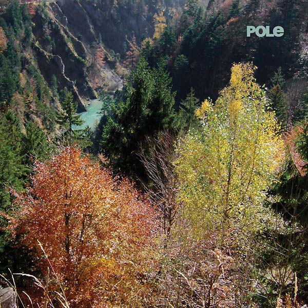 Wald |