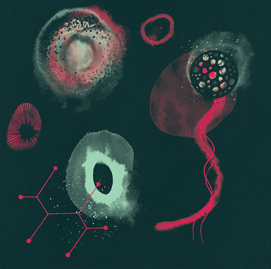 POLYPORES - The Impossibility |