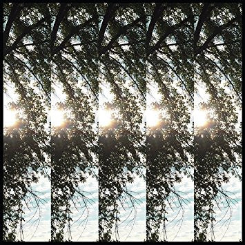 Dialectic Of Ignorance | Mint (M) Mint (M) - ALT/INDIE *SEALED*