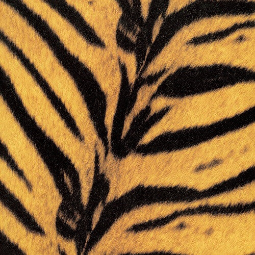 The High-Lows - (PRESALE 10/9/26) Tigermobile [Import] (IMPORT VINYL LP) | NEW - POP/J-POP *NEW*