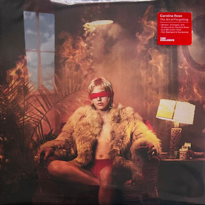 The Art of Forgetting (2xVINYL VMP) | Mint (M) Mint (M) - POP *NEW/COLOR*