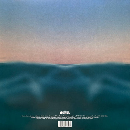 Radical Optimism *SIGNED INSERT* | Mint (M) Near Mint (NM)