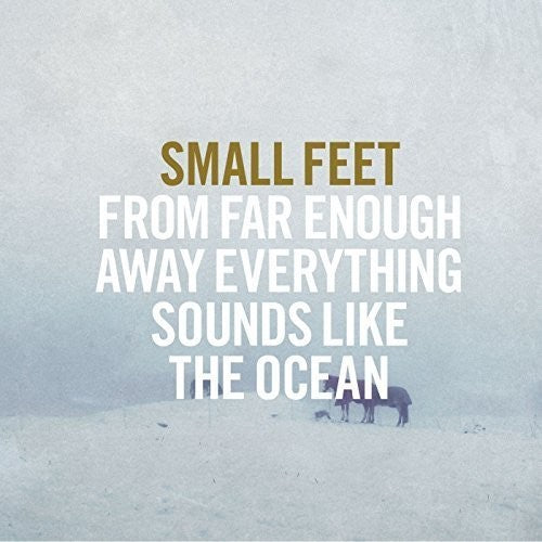 Small Feet - From Far Enough Away Everything Sounds Like The Ocean (VINYL) | - POP *NEW*
