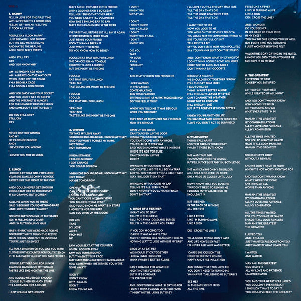 Hit Me Hard And Soft (VINYL) | Mint (M) Mint (M) - POP *NEW*