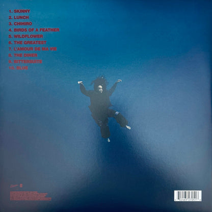 Hit Me Hard And Soft (VINYL) | Mint (M) Mint (M) - POP *NEW*