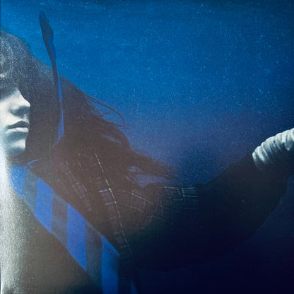 Hit Me Hard And Soft (VINYL) | Mint (M) Mint (M) - POP *NEW*