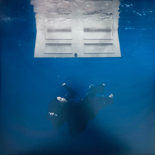 Hit Me Hard And Soft (VINYL) | Mint (M) Mint (M) - POP *NEW*