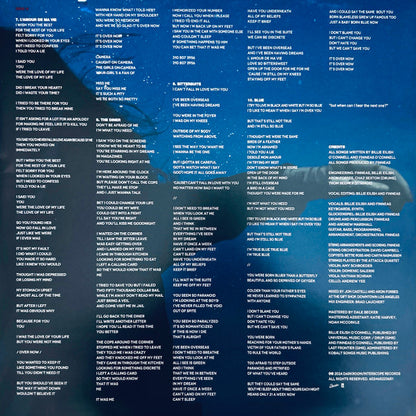 Hit Me Hard And Soft (VINYL) | Mint (M) Mint (M) - POP *NEW*