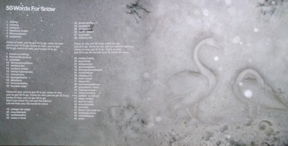 50 Words For Snow: 2018 Remaster (IEX: SNOWY WHITE VINYL) | Mint (M) Mint (M)