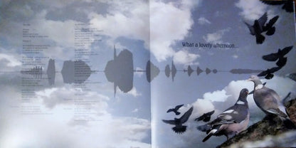 Aerial: 2018 Remaster (IEX: GOLDY LOCKS VINYL) | Mint (M) Mint (M)