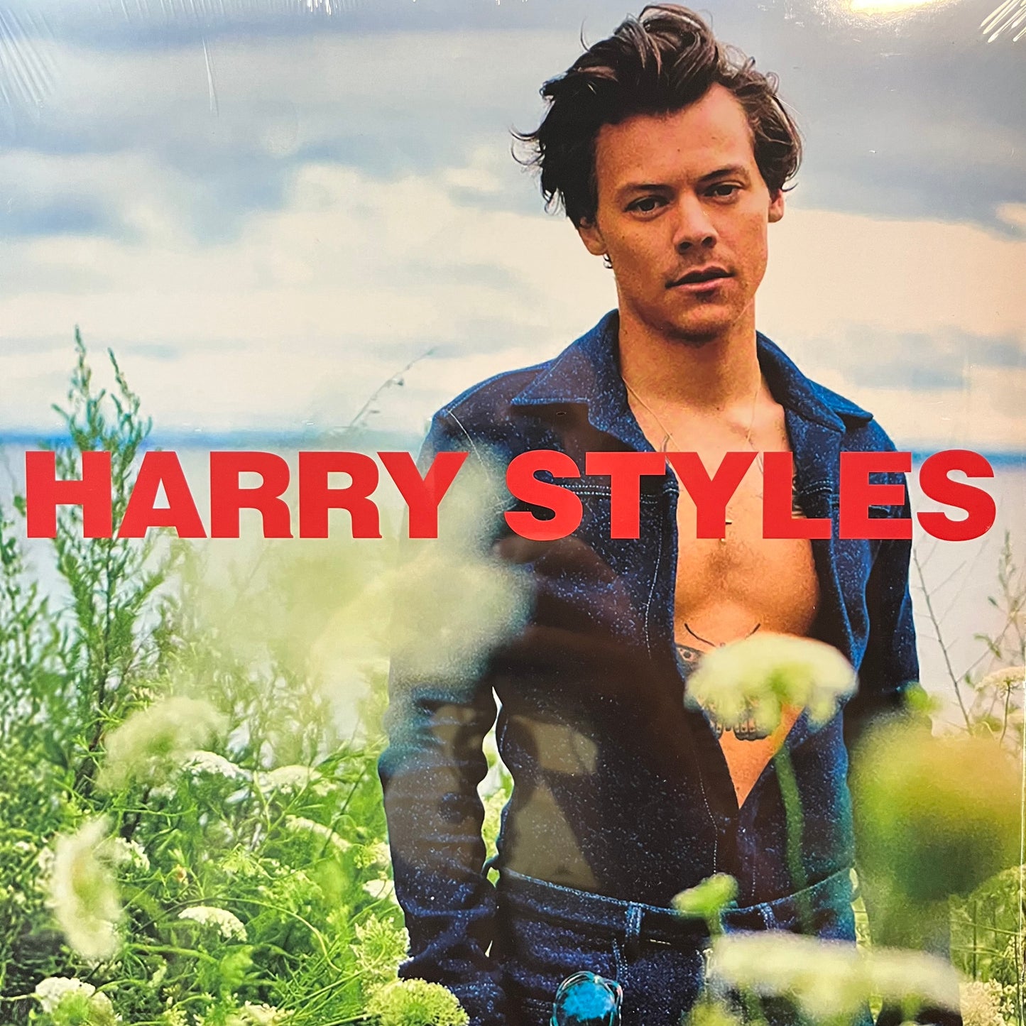 Country Life (VINYL) | Mint (M) Mint (M) - POP *SEALED*