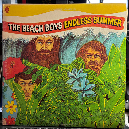 Endless Summer (VINYL W POSTER) | Excellent (EX) Very Good Plus (VG+) - POP / USED *EXCELLENT*