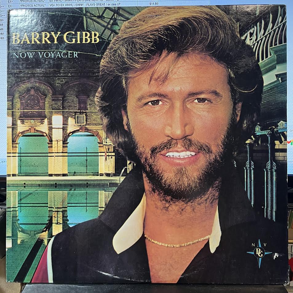 Now Voyager (VINYL) | Near Mint (NM) Near Mint (NM) - POP / USED *NEAR MINT*