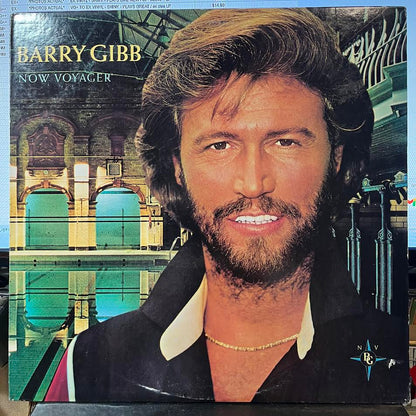 Now Voyager (VINYL) | Near Mint (NM) Near Mint (NM) - POP / USED *NEAR MINT*