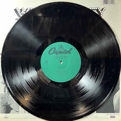Wild Honey (VINYL) | Near Mint (NM or M-) Near Mint- (NM-) - POP / USED *NEAR MINT*