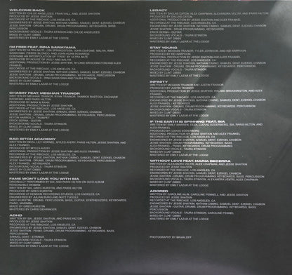 Infinite Icon (VINYL) | Near Mint (NM) Near Mint (NM) - POP / USED *NEAR MINT*