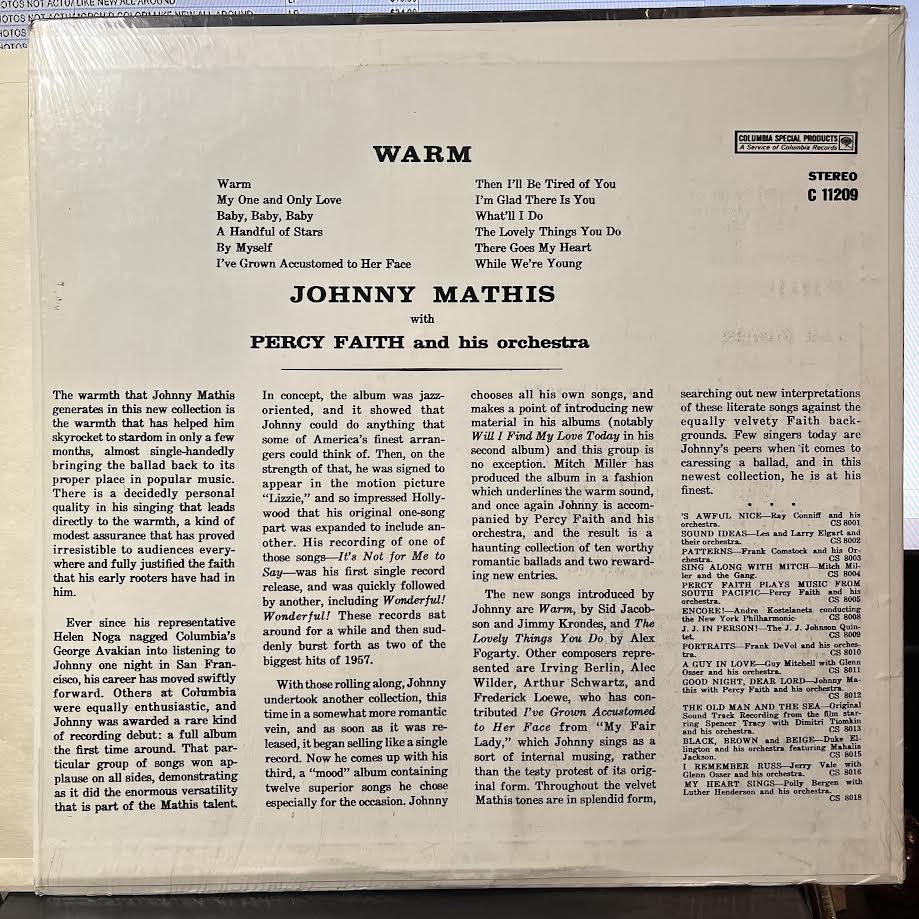 Warm (VINYL) | Near Mint (NM) Near Mint (NM) - POP / USED *NEAR MINT*