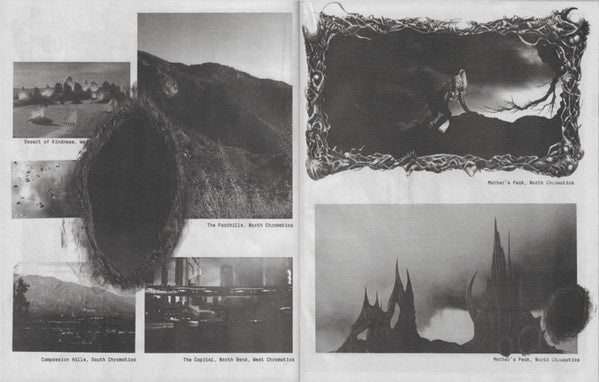 Chromatica (VINYL) | Near Mint (NM) Near Mint (NM) - POP / USED *NEAR MINT*