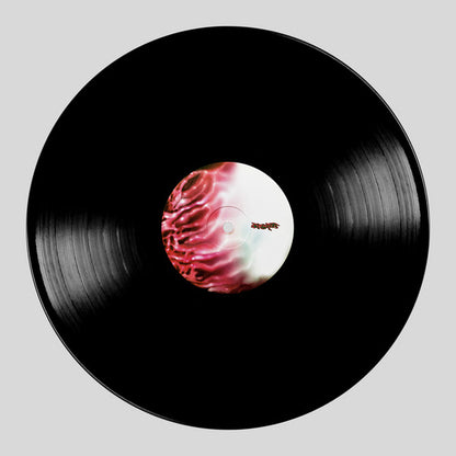 Chromatica (VINYL) | Near Mint (NM) Near Mint (NM) - POP / USED *NEAR MINT*