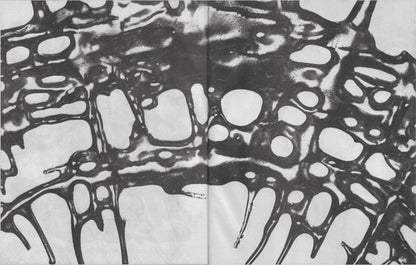 Chromatica (VINYL) | Near Mint (NM) Near Mint (NM) - POP / USED *NEAR MINT*