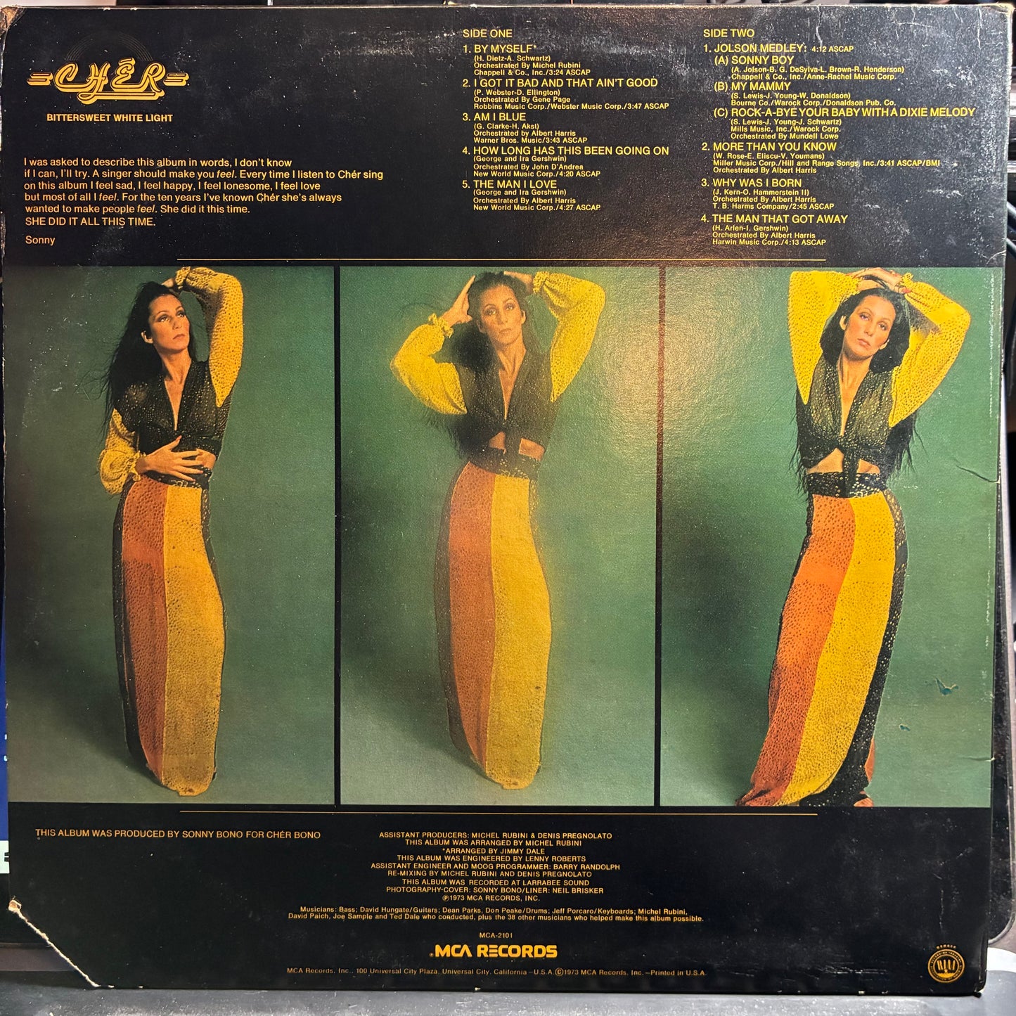 Bittersweet White Light (VINYL) | Very Good Plus (VG+) Very Good Plus (VG+) - POP / USED *VERY GOOD+*