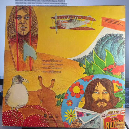 Endless Summer (2xVINYL) | Very Good (VG) Very Good (VG) - POP / USED *VERY GOOD*