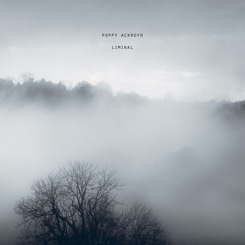 Poppy Ackroyd - Liminal |