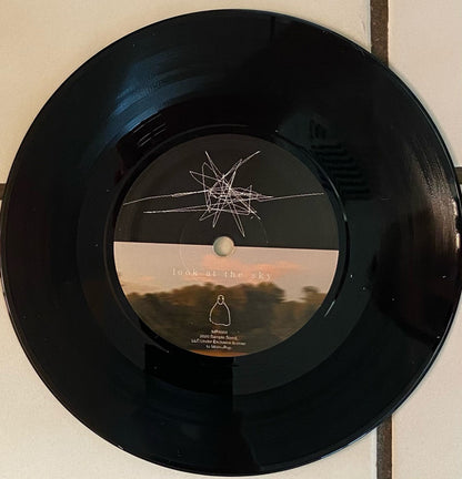 Look At The Sky | Mint (M) Mint (M) - SYNTH-POP *NEW*