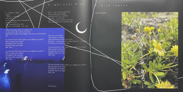 Nurture (CLEAR VINYL) | Mint (M) Mint (M)