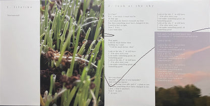 Nurture (CLEAR VINYL) | Mint (M) Mint (M)