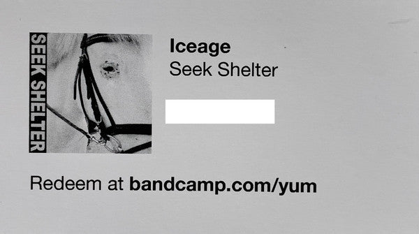 Seek Shelter | Mint (M) Mint (M)