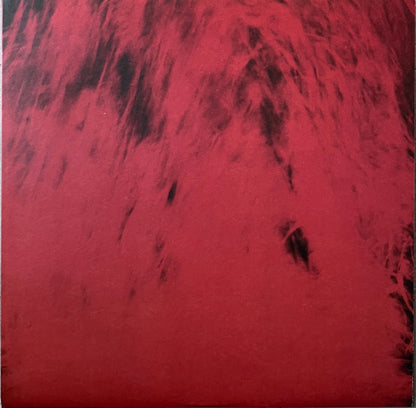Spiritchaser (VINYL) | Mint (M) Mint (M) - POST-PUNK/NEW WAVE *SEALED*