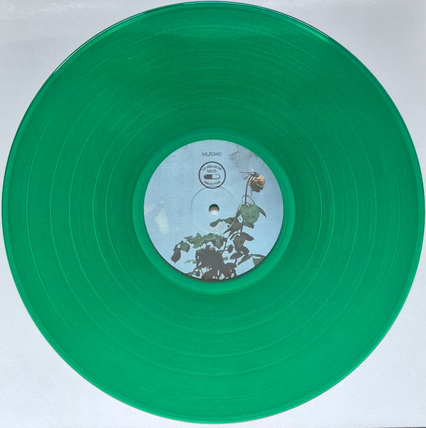 Watch It Die (GREEN VINYL) | - POST PUNK *SEALED/COLOR*