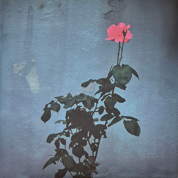 Watch It Die (GREEN VINYL) | - POST PUNK *SEALED/COLOR*