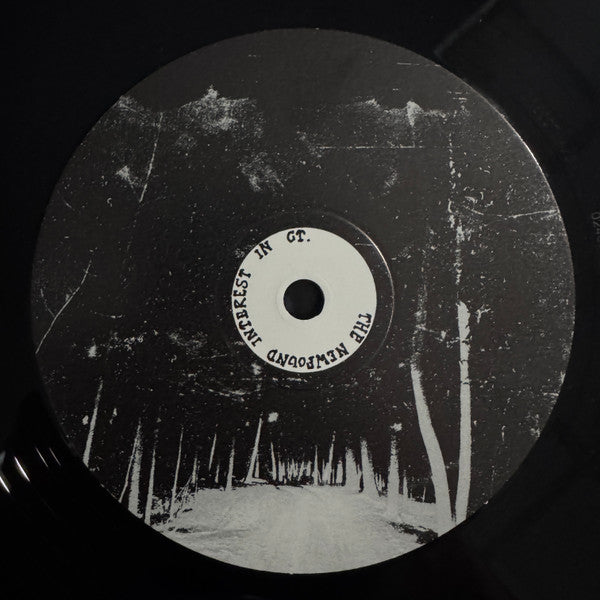 The Newfound Interest In Connecticut - Tell Me About The Long Dark Path Home (2xVINYL) | Mint (M) Mint (M) - POST ROCK *NEW*