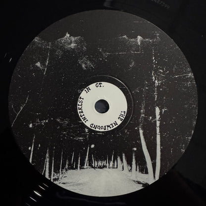 The Newfound Interest In Connecticut - Tell Me About The Long Dark Path Home (2xVINYL) | Mint (M) Mint (M) - POST ROCK *NEW*