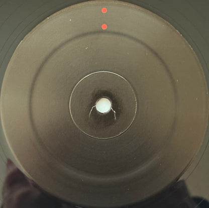 Camoufleur (VINYL) | - POST ROCK *SEALED*