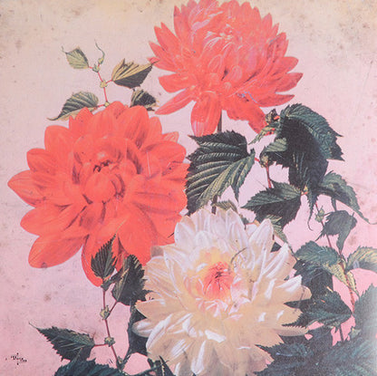 Asunder, Sweet And Other Distress | Mint (M) Mint (M) - POST ROCK *SEALED*