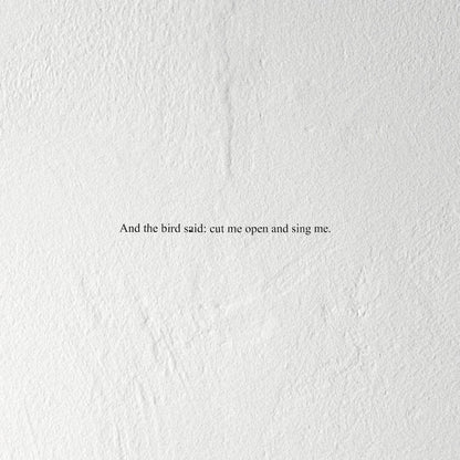 And the Bird Said: Cut Me Open and Sing Me | Mint (M) Mint (M)