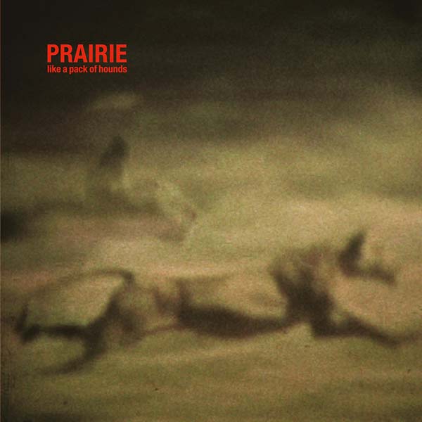 Like a Pack of Hounds |